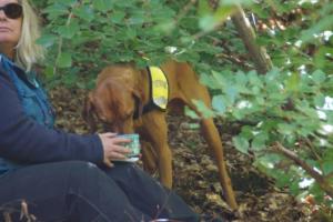 Training 31.05.2020 – Oberscheld 25